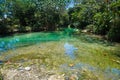 Beautiful River in Jamaica