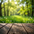 A serene and calming green spring background with soft, blurred greenery representing the freshness of spring. Royalty Free Stock Photo