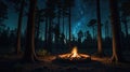 Magical Night Campfire in the Starlit Forest Royalty Free Stock Photo