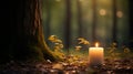 A Serene Candle Illuminating the Enchanting Forest