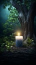 A Serene Candle Illuminating the Enchanting Forest