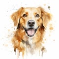Serene Canine Artwork with a White Background