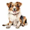 Serene Canine Artwork with a White Background Royalty Free Stock Photo