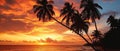 A Serene Caribbean Sunset Palm Trees Silhouette Amidst A Fiery Sky