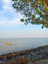 Serene Coastal Landscape: Beach, Rocky Shore, and Verdant Tree