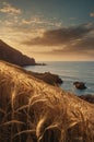 Golden Wheat Field at Sunset Overlooking the Ocean Royalty Free Stock Photo