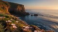 Coastal Serenity: Cliffside Flowers Overlooking the Ocean at Sunset with Calm Waves Royalty Free Stock Photo