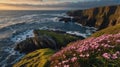 Wild Atlantic Way Coastline with Sea Thrift Flowers at Dramatic Sunset Royalty Free Stock Photo