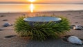 A Bowl Surrounded by Pine Needles and Seashells on the Beach at Sunset Royalty Free Stock Photo