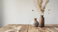 Rustic Vases with Dry Plants on Wooden Table Royalty Free Stock Photo
