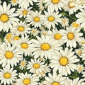 Serene Daisy Haven Floral Pattern Royalty Free Stock Photo