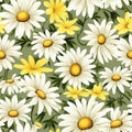 Serene Daisy Haven Floral Pattern Royalty Free Stock Photo