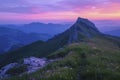 Serene Dawn at Alpine Mountain Peak with Purple Flowers Royalty Free Stock Photo