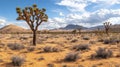 Desert Landscape With Joshua Trees and Distant Mountains Under Cloudy Sky Royalty Free Stock Photo