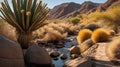 Serene Desert Oasis: Scenic Creekside Trail with Unique Plants and Rocky Landscape Royalty Free Stock Photo