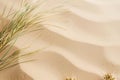 Serene desert landscape with sand dunes and grassy plants Royalty Free Stock Photo