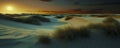 A serene desert landscape at sunset, with golden light illuminating smooth sand dunes and sparse, windswept vegetation Royalty Free Stock Photo