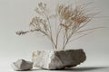 Serene display scene, where an empty rock platform with dry twigs serves as a canvas for showcasing your product amidst the