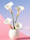 Serene Display of White Lilies in a Vase Under a Clear Blue Sky Royalty Free Stock Photo