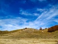 Serene dream like view of a grass hill with trees and blue sky above on a calming autumn day in the nature while walking, hiking