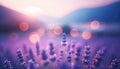 Dreamy Lavender Sunset, AI Generated