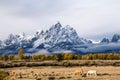 wintry autumn weather on snow capped Grand Teton national Park in Wyoming Royalty Free Stock Photo