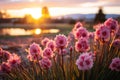 A serene Easter morning scene with the sun rising over a peaceful landscape.