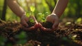 In the serene embrace of a nature park, a child's hands lovingly cradle tender young plants.