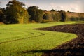 Serene English Autumn scene