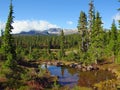 Strathcona Provincial Park, Vancouver Island, Fall Landscape on the Forbidden Plateau, British Columbia, Canada Royalty Free Stock Photo