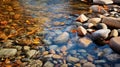 Serene Fall River: Captivating Photography Of Flowing Stones And Autumn Leaves