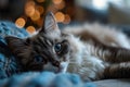Serene Feline: A Cozy Kitten Basks in Calming Blue Light on a So