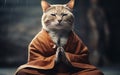 Serene Feline Monk in Meditative Bliss