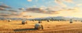 Serene Field Scene With Freshly Baled Hay At Sunset