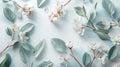 Serene Floral Composition with White Blossoms and Green Foliage Royalty Free Stock Photo