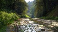Serene Flow: Water Stream Meanders Through Lush Green Forest Royalty Free Stock Photo