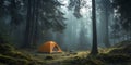 Serene Forest Camping Tent in Misty Woods Royalty Free Stock Photo