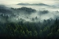 A serene forest filled with an abundance of trees covered in fog, creating an ethereal atmosphere., Misty dark forest aerial Royalty Free Stock Photo