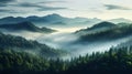 A serene forest landscape with misty mountains 5