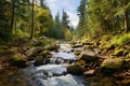 Serene forest oasis Autumn stream, pine trees, and sunny nature