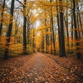 A serene forest path carpeted with fallen autumn leaves extends into the Royalty Free Stock Photo