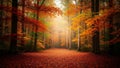 Autumn forest path with red and orange leaves on ground and trees under sunny sky Royalty Free Stock Photo