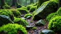 Serene forest path moss-covered rocks and pebbles create a tranquil woodland scene. Generative AI Royalty Free Stock Photo
