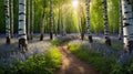 Sunlit Path Through a Serene Birch Forest with Wildflowers in Full Bloom on Beautiful Spring Day Royalty Free Stock Photo