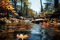 Serene forest pond yellow orange leaf, blue skys reflection, autumns charm