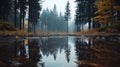 A serene forest scene features tall, dark evergreen trees and a shallow pool of water in the foreground