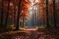 A serene forest scene featuring a narrow path covered with fallen leaves Royalty Free Stock Photo