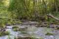 Serene Forest Stream Flowing Through Lush Greenery With Stacked Stones. River in Nature Royalty Free Stock Photo