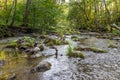 Serene Forest Stream Flowing Through Lush Greenery With Stacked Stones. River in Nature Royalty Free Stock Photo