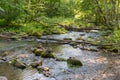 Serene Forest Stream Flowing Through Lush Greenery With Stacked Stones. River in Nature Royalty Free Stock Photo